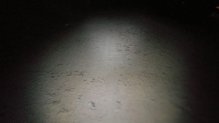 Silva Trail Speed 3XT: Inteligent Light y su doble luz led