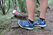 Skechers GoTrail