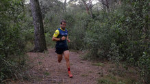 Durante los entrenamientos hemos podido ver la informacin con rapidez 