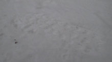 The North Face Ultra MT Winter: La suela muerde literalmente el suelo