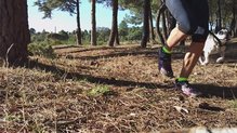Thorlos Outdoor Athlete: Buena transpirabilidad corriendo con calor en terrenos sombríos y húmedos 