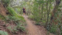 Topo Athletic Pursuit 2: Corredores que apuesten por el natural running sin comprometer distancia