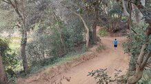 Topo Athletic Pursuit 2