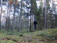 Stereo Belt Utimate Direction en los bosques, Uppsala Suecia