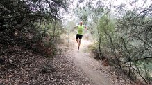 X-Bionic Effektor 4D Running Shirt Shortsleeve
